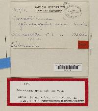 Image Associated With the Occurrence