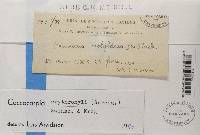 Image Associated With the Occurrence