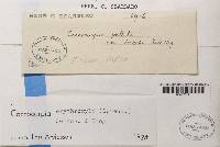 Image Associated With the Occurrence