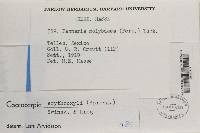 Image Associated With the Occurrence