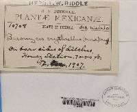 Image Associated With the Occurrence