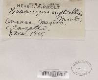 Image Associated With the Occurrence