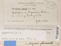 Image Associated With the Occurrence