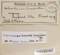 Image Associated With the Occurrence