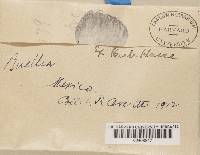 Image Associated With the Occurrence