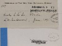 Image Associated With the Occurrence