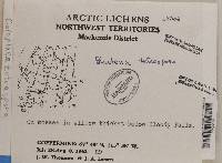 Image Associated With the Occurrence