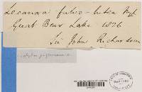 Thumbnail image of current specimen