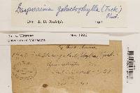 Image Associated With the Occurrence