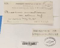 Image Associated With the Occurrence