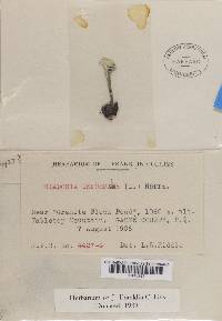 Image Associated With the Occurrence
