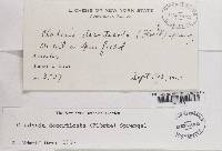 Thumbnail image of current specimen