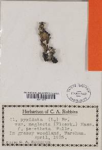 Image Associated With the Occurrence