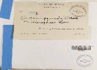 Image Associated With the Occurrence