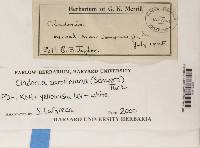 Image Associated With the Occurrence