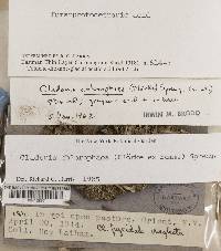 Image Associated With the Occurrence