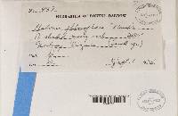 Image Associated With the Occurrence