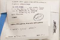 Image Associated With the Occurrence