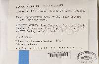 Image Associated With the Occurrence