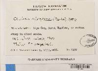 Image Associated With the Occurrence