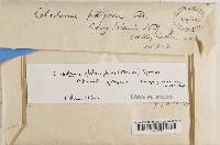 Image Associated With the Occurrence