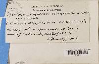 Image Associated With the Occurrence