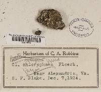 Image Associated With the Occurrence