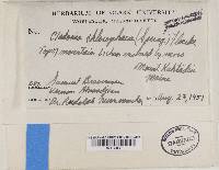 Image Associated With the Occurrence