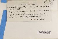 Image Associated With the Occurrence