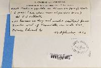 Image Associated With the Occurrence