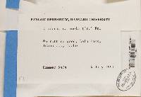 Thumbnail image of current specimen