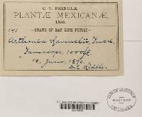 Image Associated With the Occurrence
