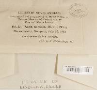 Image Associated With the Occurrence