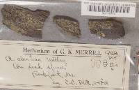 Image Associated With the Occurrence