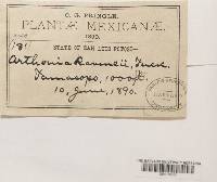 Image Associated With the Occurrence