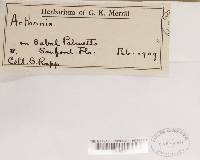 Image Associated With the Occurrence