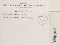 Image Associated With the Occurrence