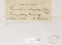 Image Associated With the Occurrence