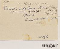 Image Associated With the Occurrence