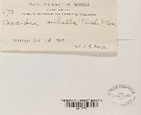 Image Associated With the Occurrence