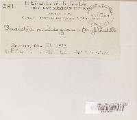 Image Associated With the Occurrence