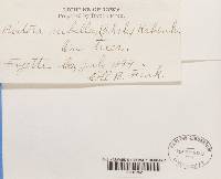 Thumbnail image of current specimen