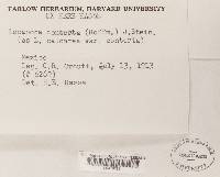 Image Associated With the Occurrence