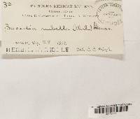 Image Associated With the Occurrence