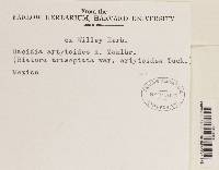 Image Associated With the Occurrence