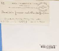 Image Associated With the Occurrence