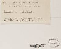 Image Associated With the Occurrence