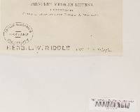 Image Associated With the Occurrence