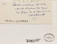 Image Associated With the Occurrence