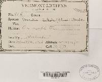 Thumbnail image of current specimen